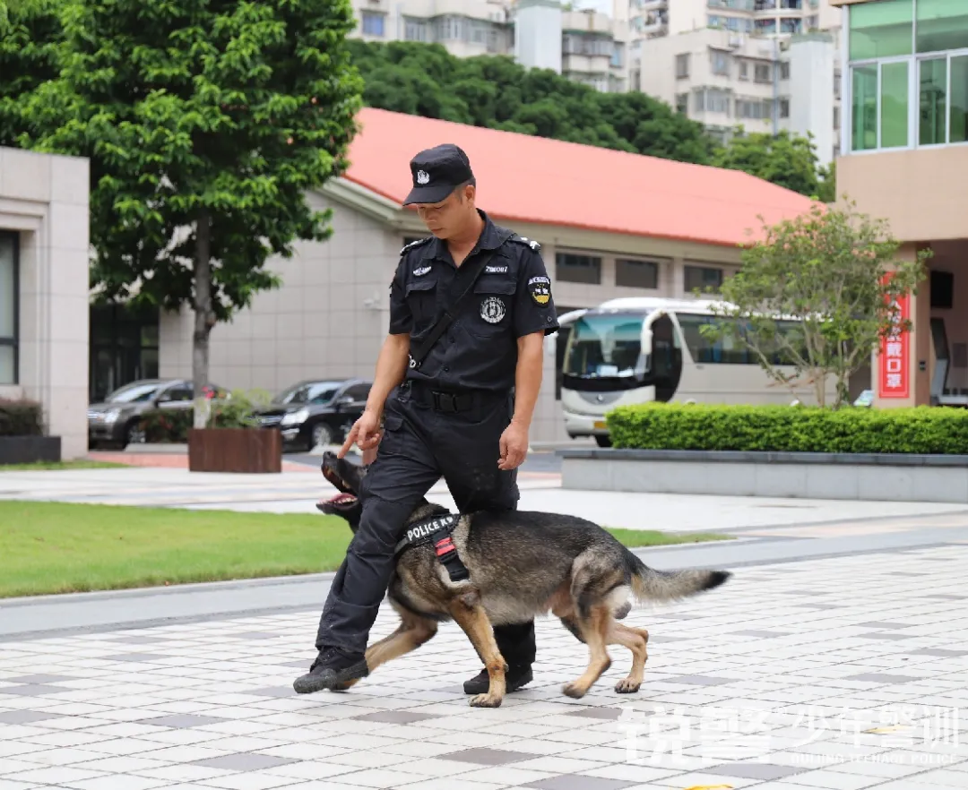 銳警少(shǎo)年(nián)警訓夏令營：雛鷹新飛(fēi)，溫室小(xiǎo)花(huā)蛻變之旅，成長(cháng)的(de)力量