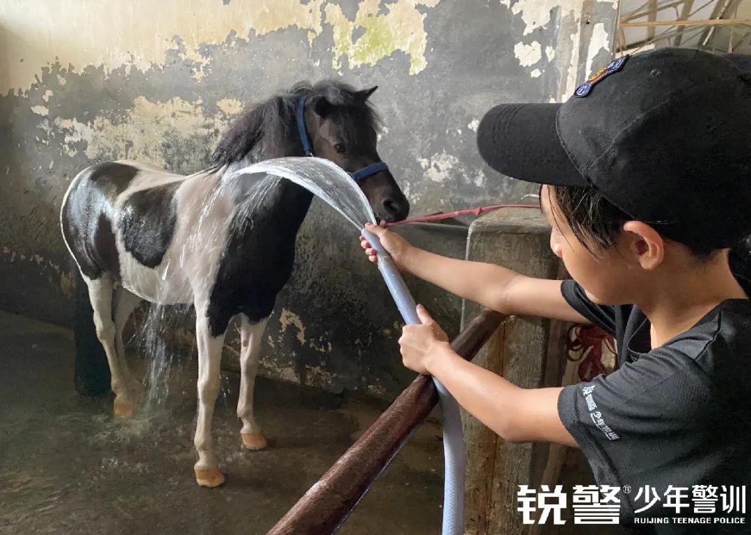 銳警少(shǎo)年(nián)警訓夏令營：雛鷹新飛(fēi)，溫室小(xiǎo)花(huā)蛻變之旅，成長(cháng)的(de)力量