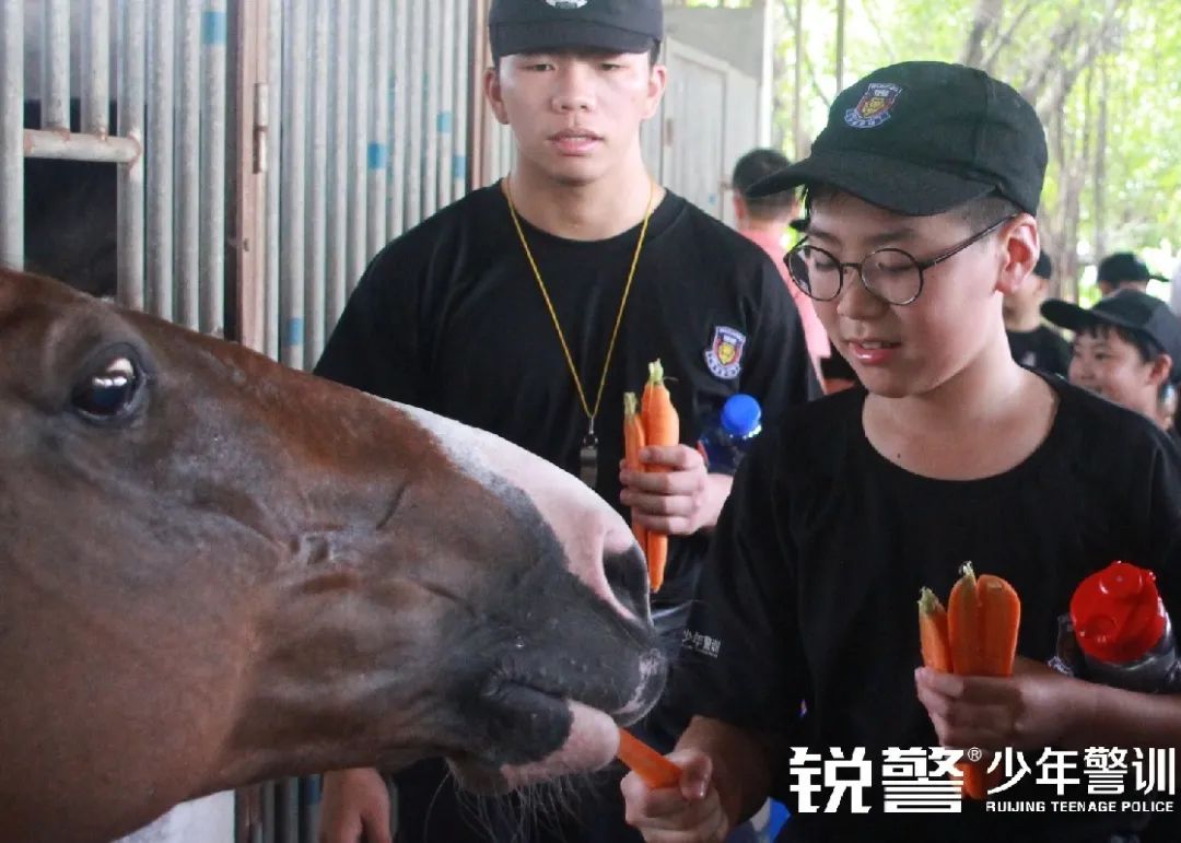 銳警少(shǎo)年(nián)警訓夏令營：雛鷹新飛(fēi)，溫室小(xiǎo)花(huā)蛻變之旅，成長(cháng)的(de)力量