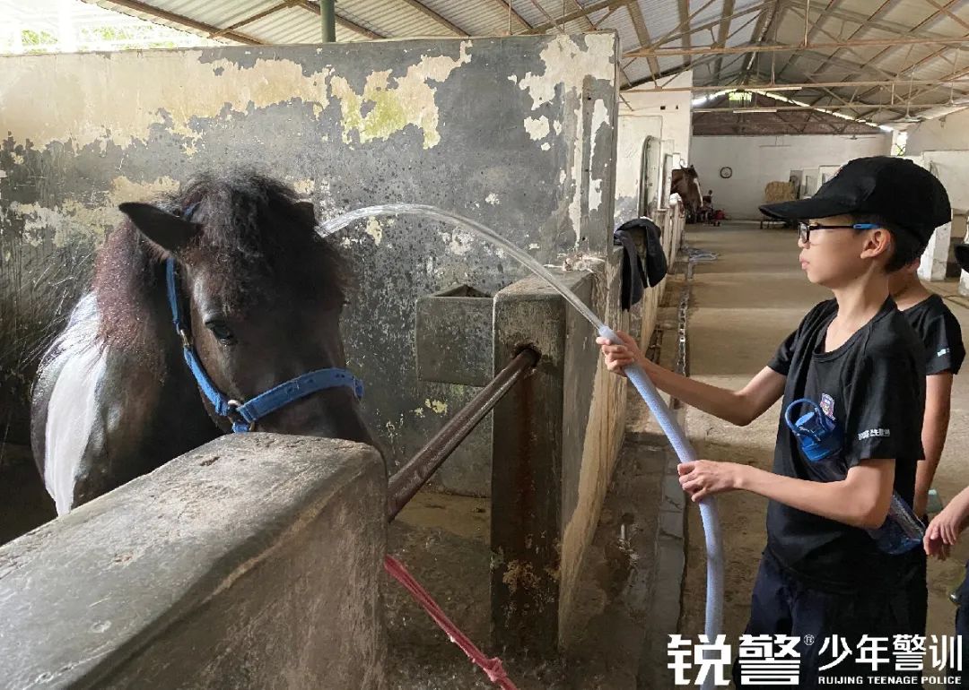 銳警少(shǎo)年(nián)警訓夏令營：雛鷹新飛(fēi)，溫室小(xiǎo)花(huā)蛻變之旅，成長(cháng)的(de)力量