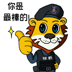 銳警少(shǎo)年(nián)警訓：防患未然 安全呵護——幼師(shī)二幼安全教育活動